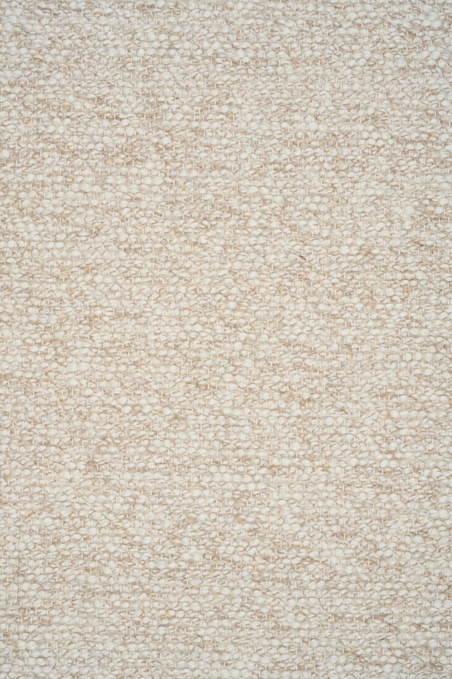 SAHARA WHEAT